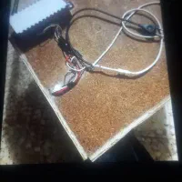 دستگاه جوجه کشی|لوازم جانبی حیوانات|رشت, یخسازی|دیوار