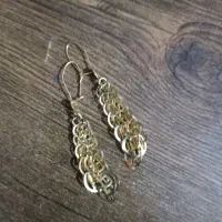 یه جفت گوشواره به قیمت تابلو
