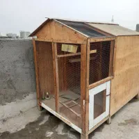 چوبی|لوازم جانبی حیوانات|چابهار, |دیوار