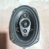 دوعدد باند سالم