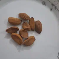 بادام|خوردنی و آشامیدنی|شیراز, باهنر|دیوار