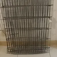 پارک سگ