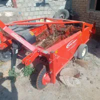 فروش سیبکن سبزدشت