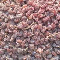 کشمش بیدانه درجه‌ یک|خوردنی و آشامیدنی|قزوین, |دیوار