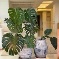 گل و گلدان پتینه