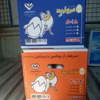 پخش تخم مرغ فله و مراورید خیارشور پنیرلیقوان زیتون
