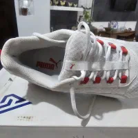 کتونی پوما اورجینال|کیف، کفش، کمربند|احمدآبادمستوفی, |دیوار