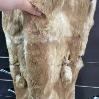 پالتو|لباس|مشهد, نوده|دیوار