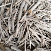 چوب خرید چوب فقط خشک|خدمات باغبانی و درختکاری|نجفآباد, یزدانشهر|دیوار