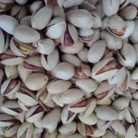 تخمه کدو+|خوردنی و آشامیدنی|قم, باسکول|دیوار