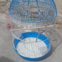 یک عددقفس بزرگ مجلسی