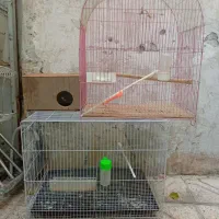قفس پرنده