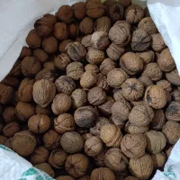 گردو|خوردنی و آشامیدنی|اهواز, کوی رمضان|دیوار