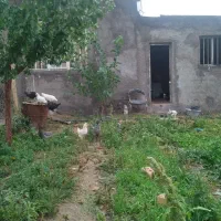 رازبین-خانه-باغ-نقلی-نزدیک-جاده-انشعابات-تکمیل