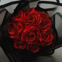 گل روبانی ، گل جاودان