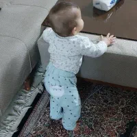 نیروی خدماتی و پرستار بچه (۱۵روز کار)