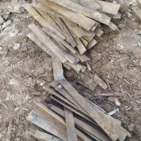 تخته برای فروش خیلی زیاده