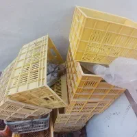 تعدادی سبد سالم