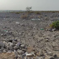 فروش نیم هکتار زمین کشاورزی