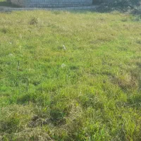 زمین مسکونی|فروش زمین و ملک کلنگی|حویق, |دیوار