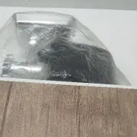 چرخ گوشت و زودپز هشت کاره