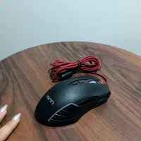 موس گیمینگ|کنسول، بازی ویدئویی و آنلاین|گنبد کاووس, |دیوار