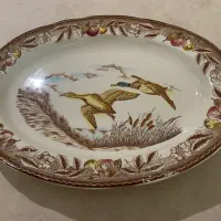 دیس دومرغابی