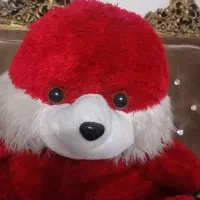 عروسک پولیشی