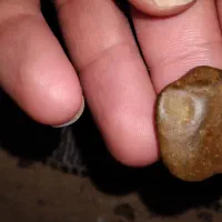 سکه سنگی