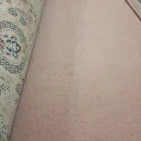 موکت دست دوم|موکت|شیراز, پودنک|دیوار
