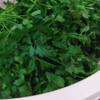 خوردنی سبزی خورشتی|خوردنی و آشامیدنی|کوهدشت, |دیوار