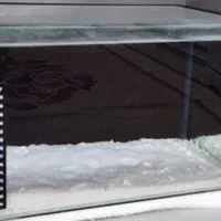 آکواریوم|ماهی|میانه, |دیوار