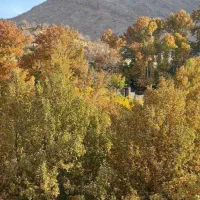 زمین در خان‌خمیس