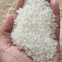 برنج هاشمی