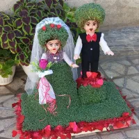 سبزه|گل و گیاه طبیعی|کوهدشت, |دیوار