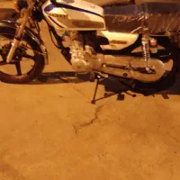 سرحال‌ وحشی