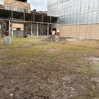 اجاره ۵۳۰ متر زمین بره اصلی قلی پور