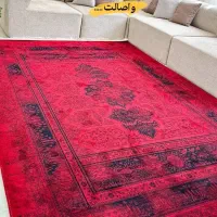 لیدی لاکی|فرش|مشهد, سراب|دیوار