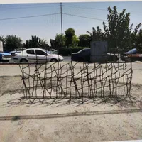 شاخ گوزنی متری 250000