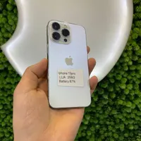 13pro