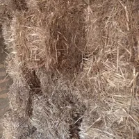 کاه درجه یک