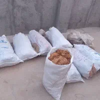 فروش برگ کاهو