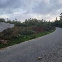 ۶۰۰ متر زمین درروستای زیبای نوخاله|فروش زمین و ملک کلنگی|تولم شهر, |دیوار