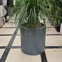 فروش فلاورباکس فایبرگلاس - گلدان فایبرگلاس|گل و گیاه طبیعی|تهران, نارمک|دیوار