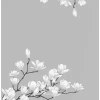 نقاشی دیواری|خدمات پیشه و مهارت|سنندج, |دیوار