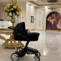 میما اسپانیایی کالسکه