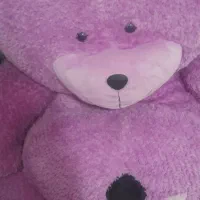 خرس بزرگ|اسباببازی بچه|فردیس, قریشی|دیوار