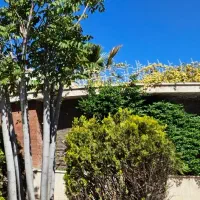 دربست فروشی / یک طبقه +سوئیت