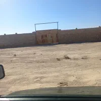 اجاره گله دان یا مرغ