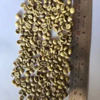 قهوه تازه رست شده|کافی‌شاپ و رستوران|بندر انزلی, ژاندارمری|دیوار